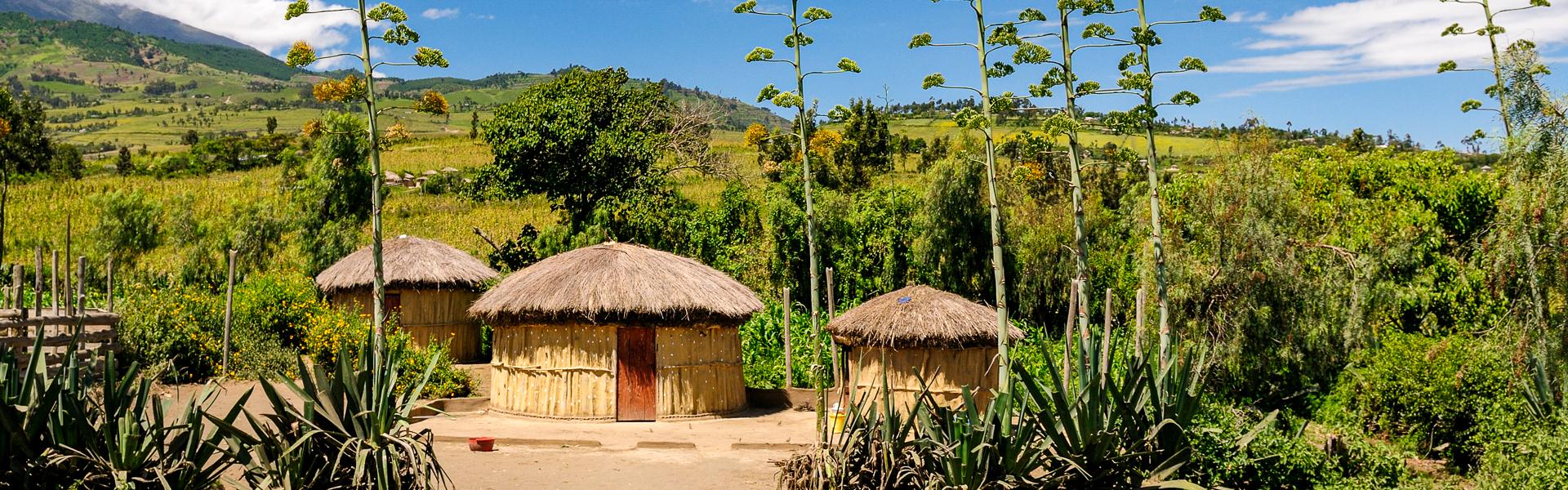 Afrikanische Landschaft |  Rafal Cichawa, iStockphoto.com / Chamleon